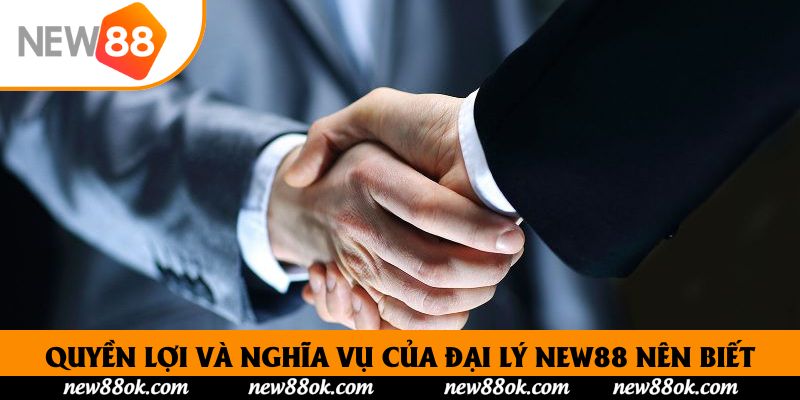 Quyền lợi và nghĩa vụ của đại lý New88 nên biết